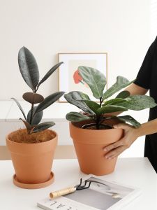 Red Clay Plant Pot with Tray Simple Terracotta round Porous Ceramic Pots for Living Room Balcony Succulent Plants Flower Vases