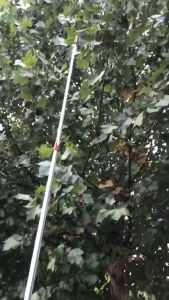 [Giao hàng 12 giờ⚡️] KÉO CẮT CÀNH TRÊN CAO 3 kéo tỉa cây cảnh ĐOẠN NHẬT BẢN (3M-4M-5M)