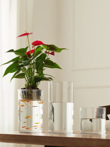 YIEN | Table Top Acrylic Small High Clarity Impact Resistant Fish Tank