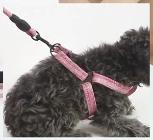 สายจูงสูงสุนัข เชือกจูงสูงสุนัข สายจูงสูงสุนัข | สายจูงสูงสุนัคซีรี่ เชื่อ เชื่อ เชื่อ