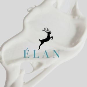 ELAN Sol Defense SPF 30 PA++ | Blue Light Protection | UV Protection | Tinted Sunblock | Sun Damage | Sunscreen