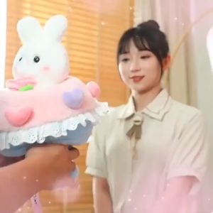Boneka Bunny Kelinci Bouquet Bunga Kuromi Cinnamorol Kawai Doll Toys Valentine Day Couple hadiah Bahan plush