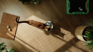 *NEW ARRIVAL!* CHEERBLE E1+ 2 Litre Automatic Wireless Pet Fountain for Cats and Small Dogs with Sensor Mode Timer Mode