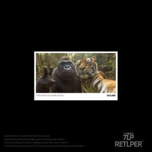 Miếng Dán Xe Phản Quang Retlper Họa Tiết Hình Vượn Bản Gốc Phong Cách Chụp Ảnh Ngay Lập Tức Phẳng Nhãn Dán Trang Trí Ô Tô