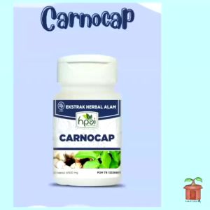 Kapsul Carnocap Obat Herbal Kanker Ekstrak Keladi Tikus Temu Putih Rumput Mutiara Kunir Putih Daun