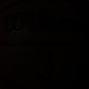 Wilson NBA Basketball Ball Original Offical NCAA Bola FIBA Size 7 High Quality Indoor Outdoor Approved Sports Training Ball