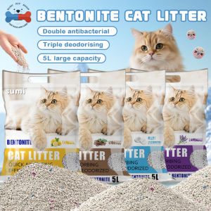 Bentonite Cat Litter 10L - Quick Clumping Antibacterial Deodorizing Dust-Free