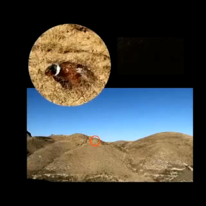 BERGARANSI Top Telescope Teropong Binocular jarak jauh Siang Malam vision Binoculars HD 126M 1000M