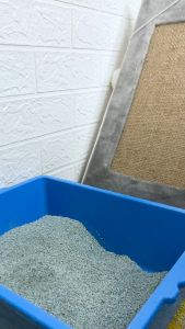 NOVAMOS REFILL Penghilang Bau Pesing Kotoran Binatang Kucing Anjing - Wangi Strawberry 1 L