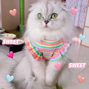 Cat Clothes Spring and Autumn Thin Sleeveless Shirt Halter Skirt Summer Blue Cat Golden Gradual Layer Pet Dog Anti-Lint