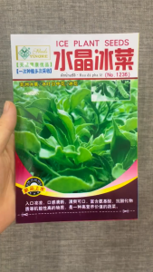 Hạt giống rau Bông tuyết (rau Kim cương rau Đá pha lê) - Nguyên gói khoảng 300 hạt hàng Trung