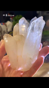 红泥白水晶簇 Red Clay Quartz cluster✨ 100%天然晶簇 ｜ Grounding and stability ✨ 清理负能量，恢复平衡 ｜ Clears negativity restores balance