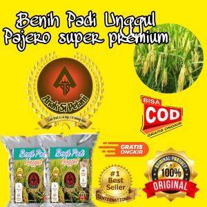 Benih Padi Pajero super premium kemasan 5Kg