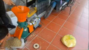 Máy làm cám viên từ ngô thóc và rau