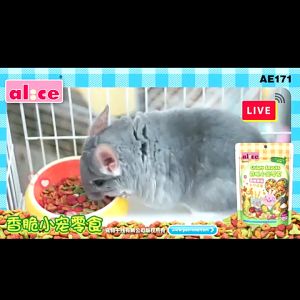 snack rau củ Alice dành cho mọi loại thú cưng (hamster / thỏ / bọ / sóc / gerbil / fat tail..) - T3 PETS SHOP