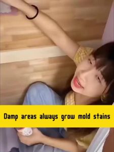 Mold removal spray 500ml Say goodbye to moldy walls and furniture Mold remover cleaner Room wood wall floor wallpaper mold remover