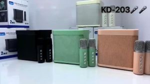 How to Choose & Use a Party Speaker: Wireless Karaoke Speaker, Bluetooth Speaker with Mic, 3D Stereo Amplifier & Dual Microphone Speaker