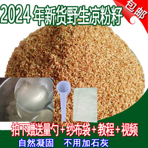 Wild Seed Tofu Xiaoli Fruit Hand Rubbed 500g Special Dry Goods Health Food from Jiangxi Province Chinese City of Ganzhou