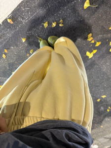 กางเกงวอร์มผ้าขนแกะหนาสำหรับผู้หญิง กางเกงขายาวทรงหลวมเอวยางยืด ทรงตรง ทรงเกาหลี กางเกงขายาวทรงหลวมสำหรับฤดูหนาว