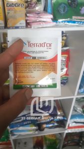 Terrador 70 wg Herbisida Obat Racun utk Pembasmi Rumput Lulangan Belulang Jampang Belulang