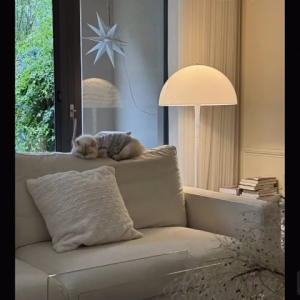 ✳️TSG65✳️ 3-Colour LED Acrylic Mushroom Lamp Shade Dimmable Floor Lamp with Remote Control & Foot Switch Living Room Standing Light/ Living Room Light/ Living Room Standing Lamp/ Living Room Lamp/ Living Room Ambient Light/ Bedroom Light/ Bedroom Lamp