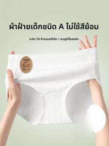 MiiOW | กางเกงชั้นในทรงสามเหลี่ยมเอวสูงผ้าฝ้ายแท้ กางเกงชั้นในไร้ตะเข็บสำหรับผู้หญิง กางเกงชั้นในป้องกันแบคทีเรียแบบใหม่ปี 2024 ของ MiiOW Cat Person