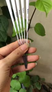 Phao câu cá rô sát ngư phao điện cảm ứng câu đêm đổi màu và không đổi màu