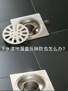 Bịt cống chặn mùi hôi chống côn trùng bộ nắp phễu thoát sàn chống trào ngược đường thoát nước ( màu ngẫu nhiên )