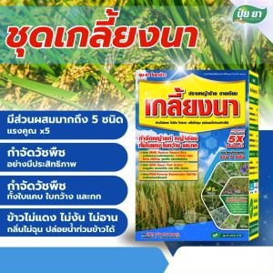 ชุดคุมฆ่าในนาข้าว ยาคุมหญ้า ปุ๋ย ยา โคลมาโซน+โพรพานิล บิสไพริแบก-โซเดียม+เบนซัลฟูรอน-เมทิล และสารเพิ่มประสิทธิภาพ (1ชุด) ยาคุมหญ้าในนาข้าว ยาคุมหญ้า นาข้าว - Lazada