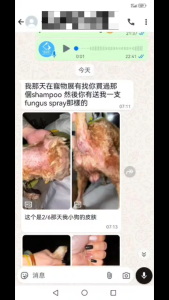 QPET skin care spray 250ml preventing sensitive skin antibacterial reduce itching for cat dog