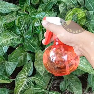 SEMPATI Botol Semprotan Air Pro Canon 500 Ml Triger Trigger Sprayer Spray Triger Semprotan Air Tanaman Bunga Kembang Sangkar Kandang Burung Desinfektan Semprotan Botol Barber Shop BIMPC