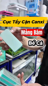 Cục Tẩy Cặn Canxi Mảng Bám Đóng Lâu Khó Vệ Sinh Trên Bể Cá Cảnh
