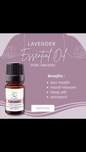 Scentiful Pure and Natural Lavender Essential Oil 10ML ( Imported From France )