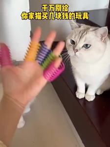 4/200Pcs Kitten Coil Spiral Springs Cat Toys Interactive Gauge Cat Spring Toy Colorful Springs Cat Pet Toy Pet Products