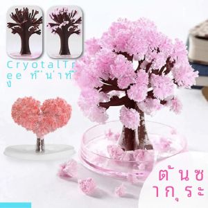 Magical SAKURA Miniature Tree DIY คริสตัลปลูกกระดาษ Plantas Magic Christmas Tree Cherry Miniatura เครื่องประดับเด็กของเล่นวิทยาศาสตร์