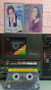 BĂNG CASSETTE COMBOCHUYỆN HOA SIM-TRƯỜNG VŨ