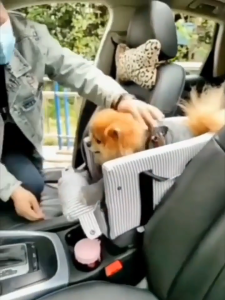 Compact Dog Car Seat for Travel - Lightweight & Foldable Soft Padding Keeps Dog Secure | Perfect for Road Trips