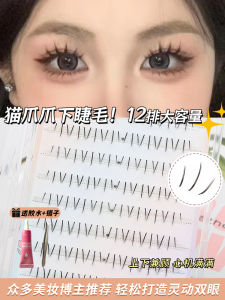 Kittens Paw Claw Lower Eyelashes K-style Womens Team Fake Eyelashes Single Cluster Segmented Natural Simulation Mom Feeling Eyelash Female