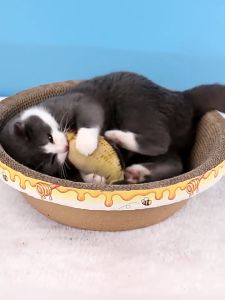 เสริมสร้างความสวยงามของแมวของคุณ ที่ลับเล็บ ที่ลับเล็บแมว ราคาถูก โซฟาที่ลับเล็บแมว กระดาษลูกฟูก แบบ 2 ด้าน ที่ลับเล็บ ที่ลับเล็บแมว แถมฟรีกัญชาแมว Cat Toys