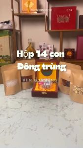 14 con Đông trùng Hạ thảo Tây Tạng size 5 Khô nguyên con hình thật