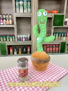 ง่วนสูน กระชายป่น 35 g Ground Krachai