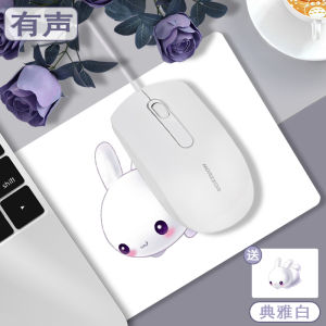 Mouse Wired Mute Silent for Business and Household Uses Office USB External Notebook Desktop Computer Game Boys and Girls Slide Suitable for HP Lenovo ASUS Huawei Dai Rui Girls Cute