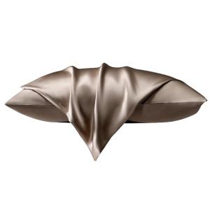 Mercury | Silk & Mulberry Silk Pillowcase