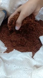 Media tanam hidroponik cocopeat halus murni siap pakai