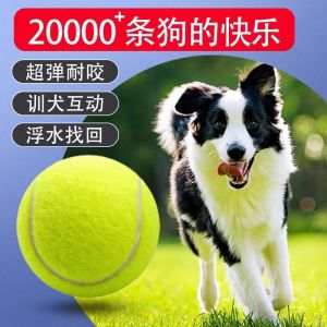 Dog Toy Ball Rubber Tennis Ball Teeth Grinding Relief Boredom Self Entertaining Squeaky Long Lasting for Border Collie Golden Retriever Corgi