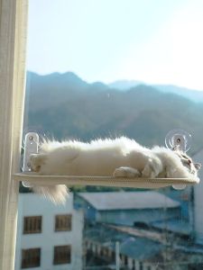 Buaian Kucing Kucing Memanjat Bingkai Tingkap Katil Kucing Haiwan Peliharaan Rak Sedutan Cawan Gantung Katil Kaca Gantung Artifak Berjemur