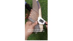 Savun Paket Pembersih Sepatu Shoes Cleaner Tanpa Bilas Air Waterless