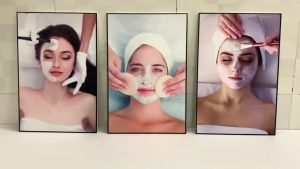 TRANH SPA VTC DÁN TƯỜNG CHẤT LIỆU FORMEX SIÊU ĐẸP GIÁ XƯỞNG U1191012