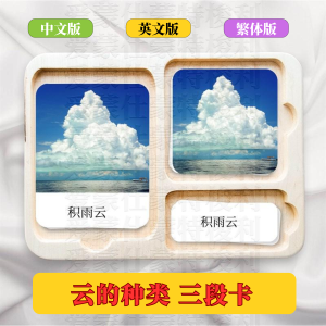 Bộ Ba Thẻ Montessori Giáo Dục Sớm Phát Triển Trí Tuệ Hình Học Cho Trẻ Từ 2-6 Tuổi Thẻ Nhận Biết Hình Học Thẻ Giáo Dục Montessori