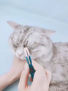 Sikat Sisir Penggaruk Mata Telinga Hewan Kucing Anjing Pembersih Mata Pet Eye Cleaning Soft Brush